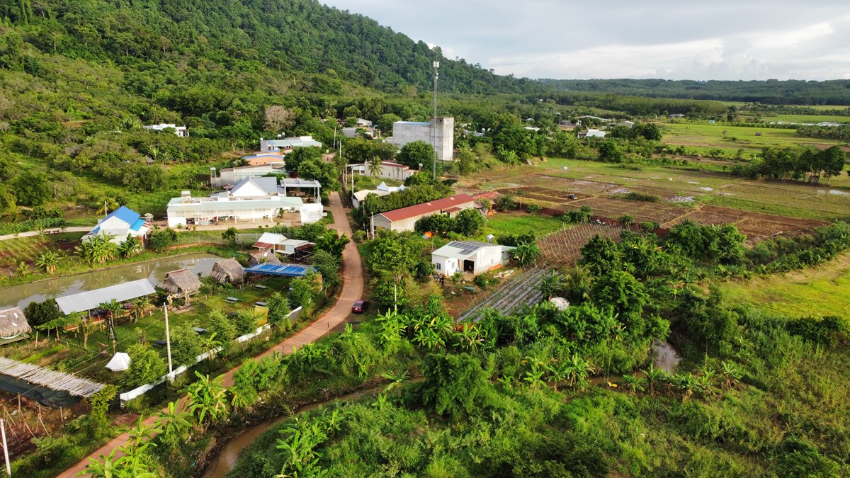 Đoàn Thị Nhật Trầm - Phước Long, Bình Phước